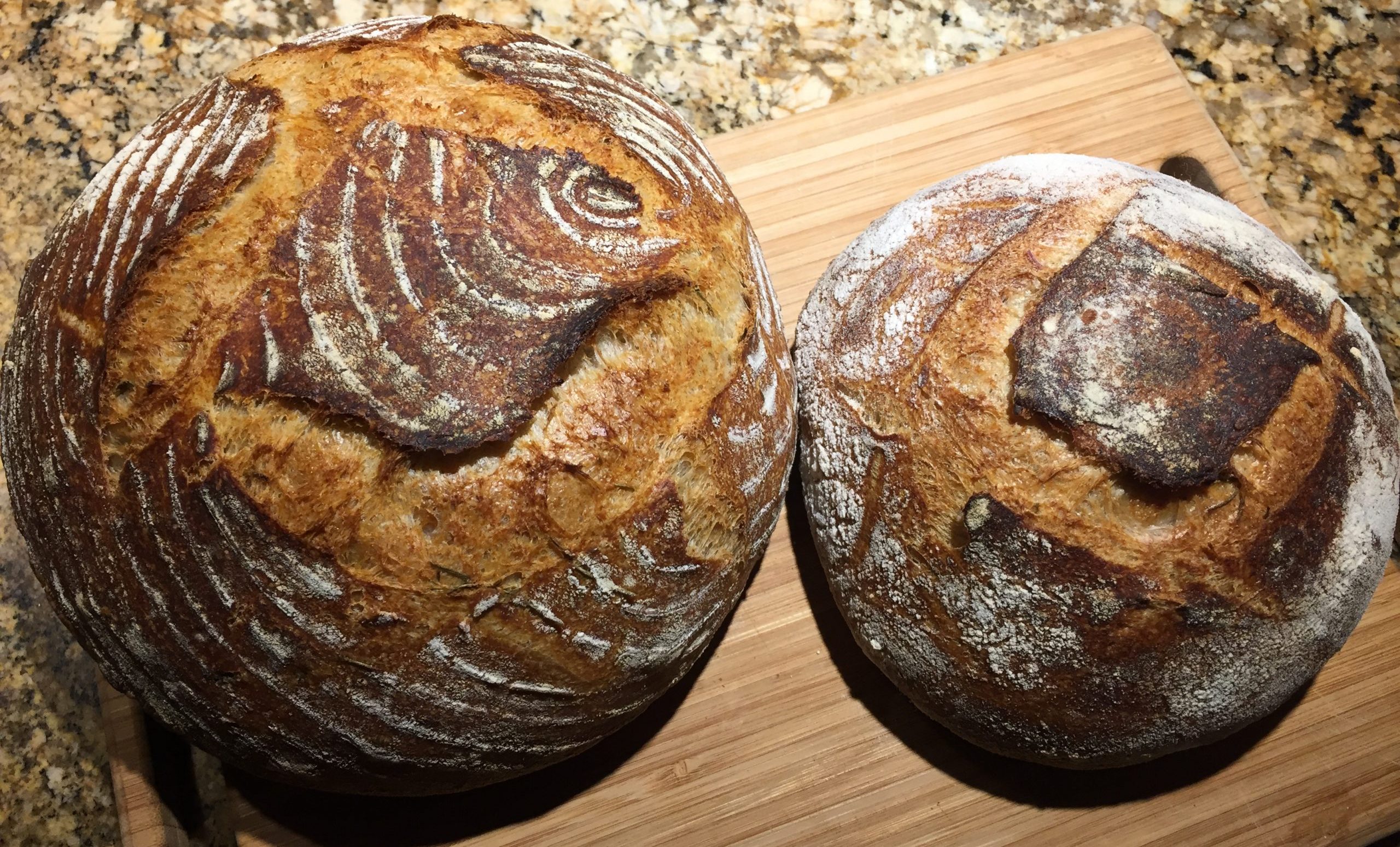 Sourdough Glossary - Sammywongskitchen