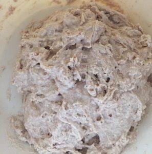 Pre-autolysed dough bread baking recipe