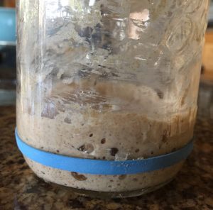 Sourdough starter recipe