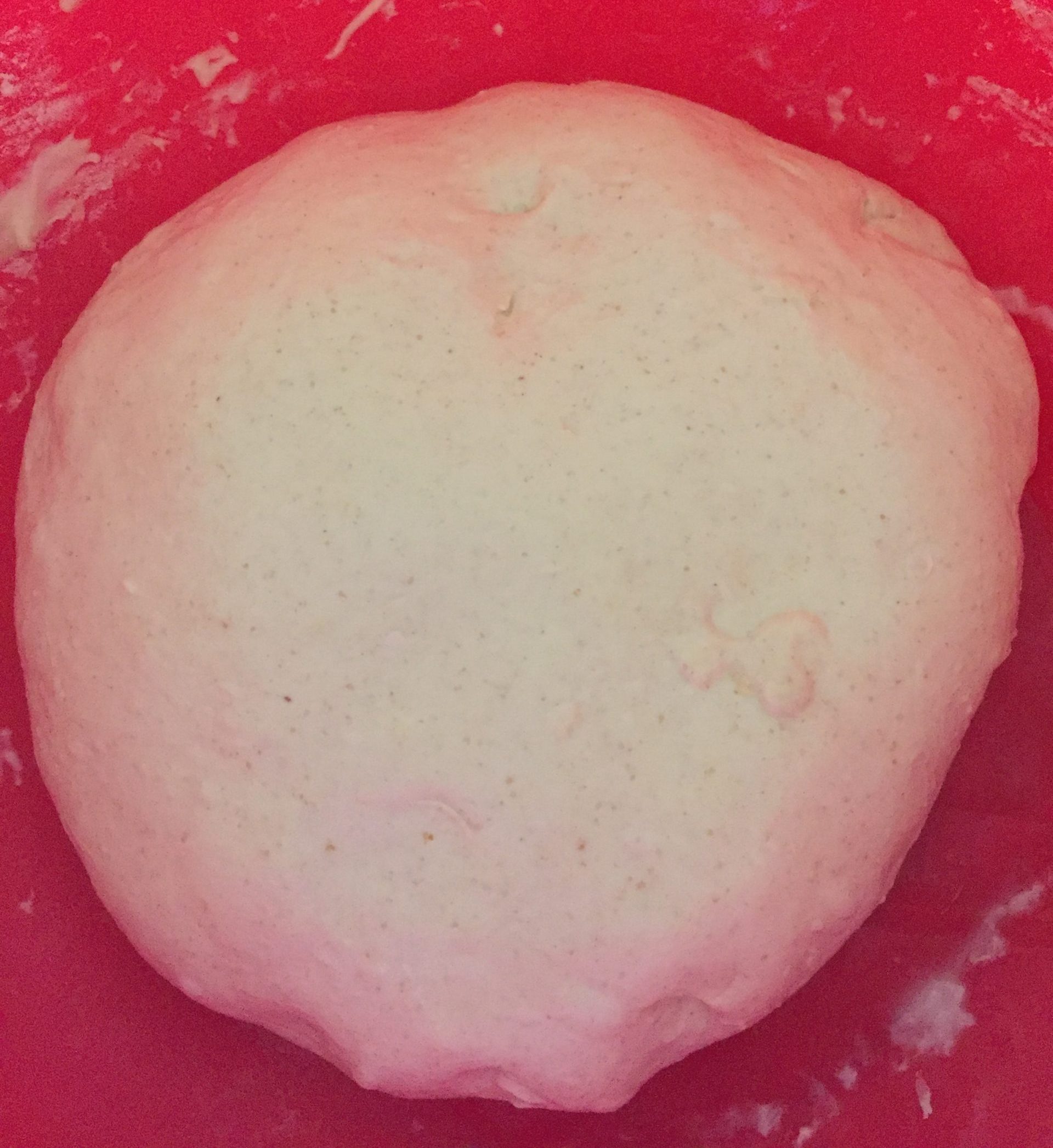 Dough after kneading bread recipe