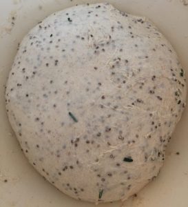 Chia Seed dough after kneading baking recipe