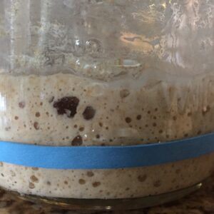 Sourdough starter recipe