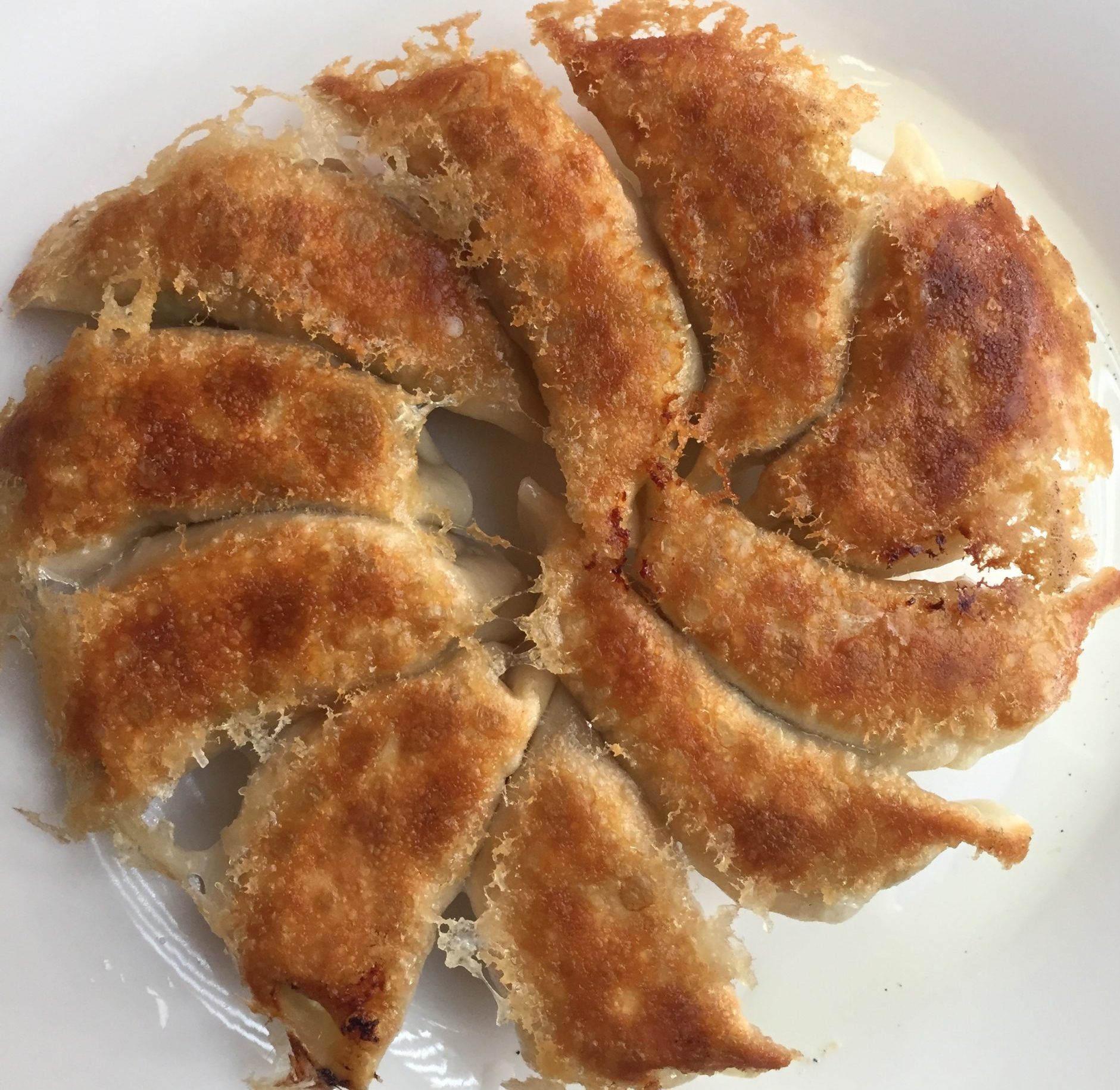 Potstickers with a crispy, lacy base and juicy filling