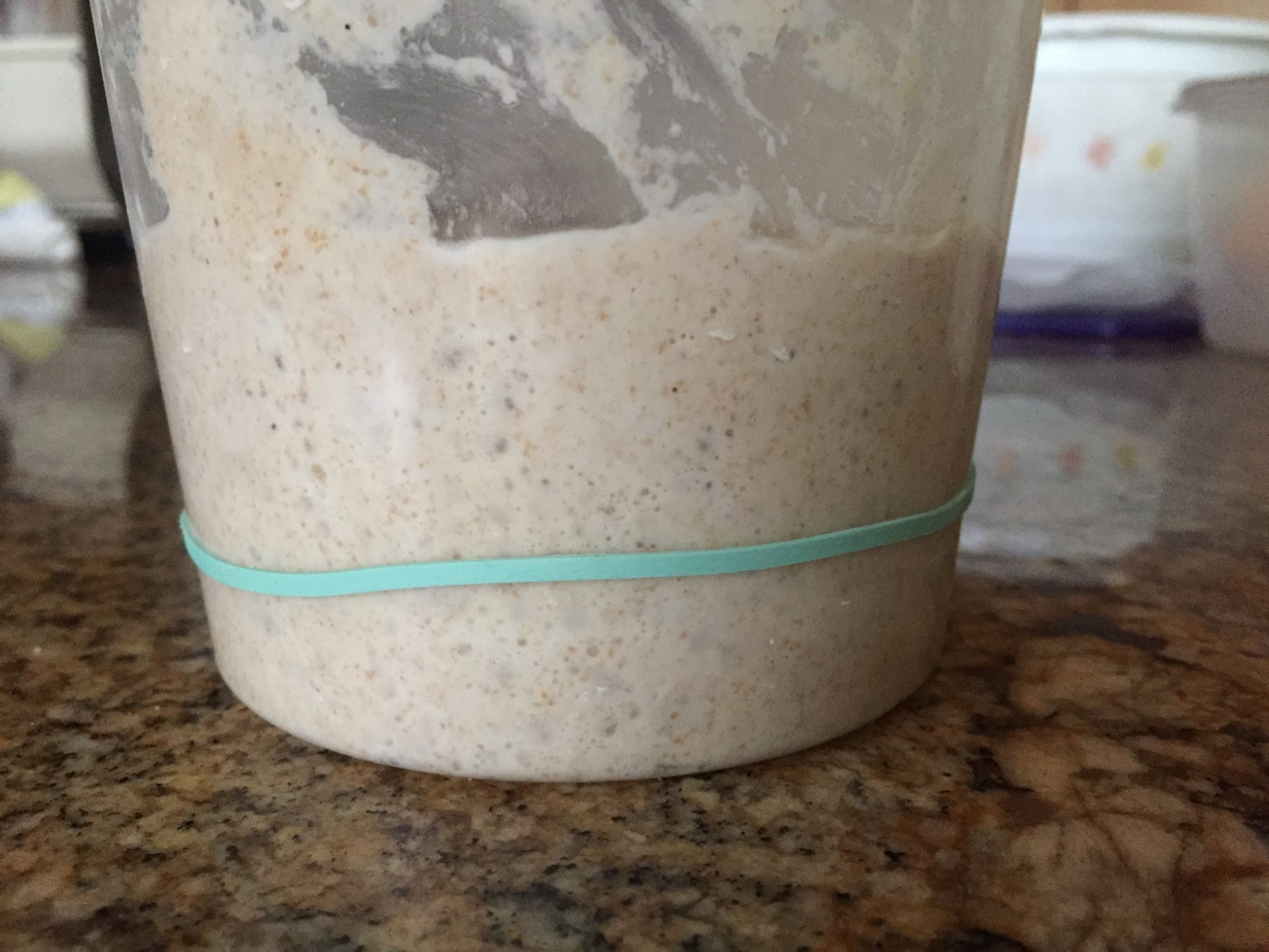 What is levain and starter and how to make it for home bakers