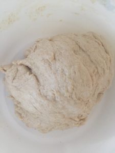 Mix dough with hands to incorporate ingredients