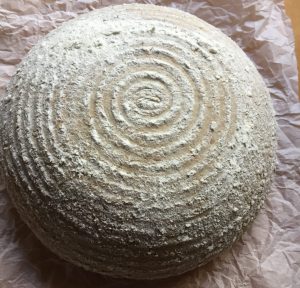 Dough after cold fermentation.