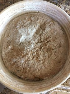 Sourdough before cold fermentation