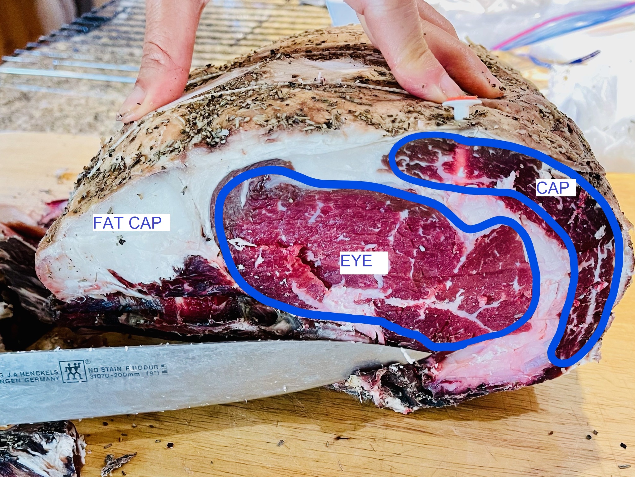ANNOTATED parts of prime rib