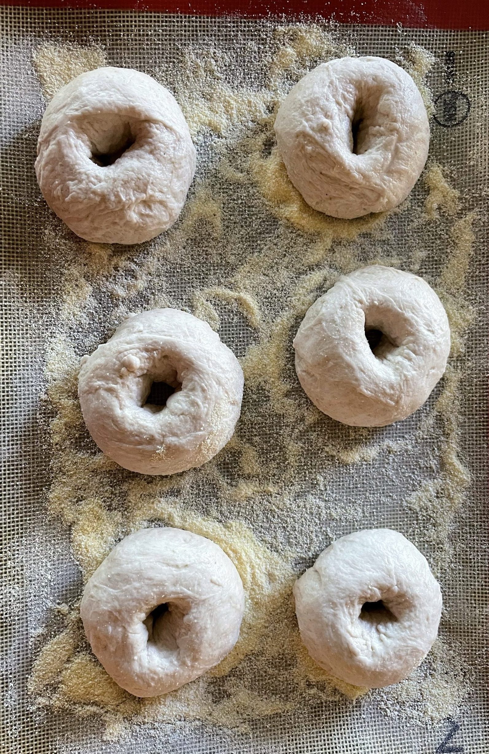 Bagels before proofing in refrigerator.