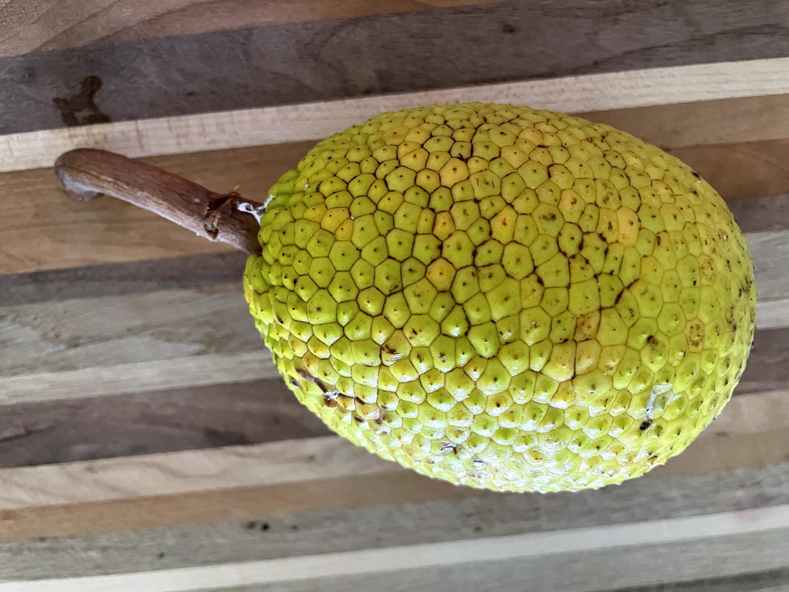Raw breadfruit.
