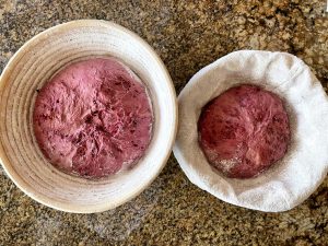Beet and chia sourdough ready for overnight rise.