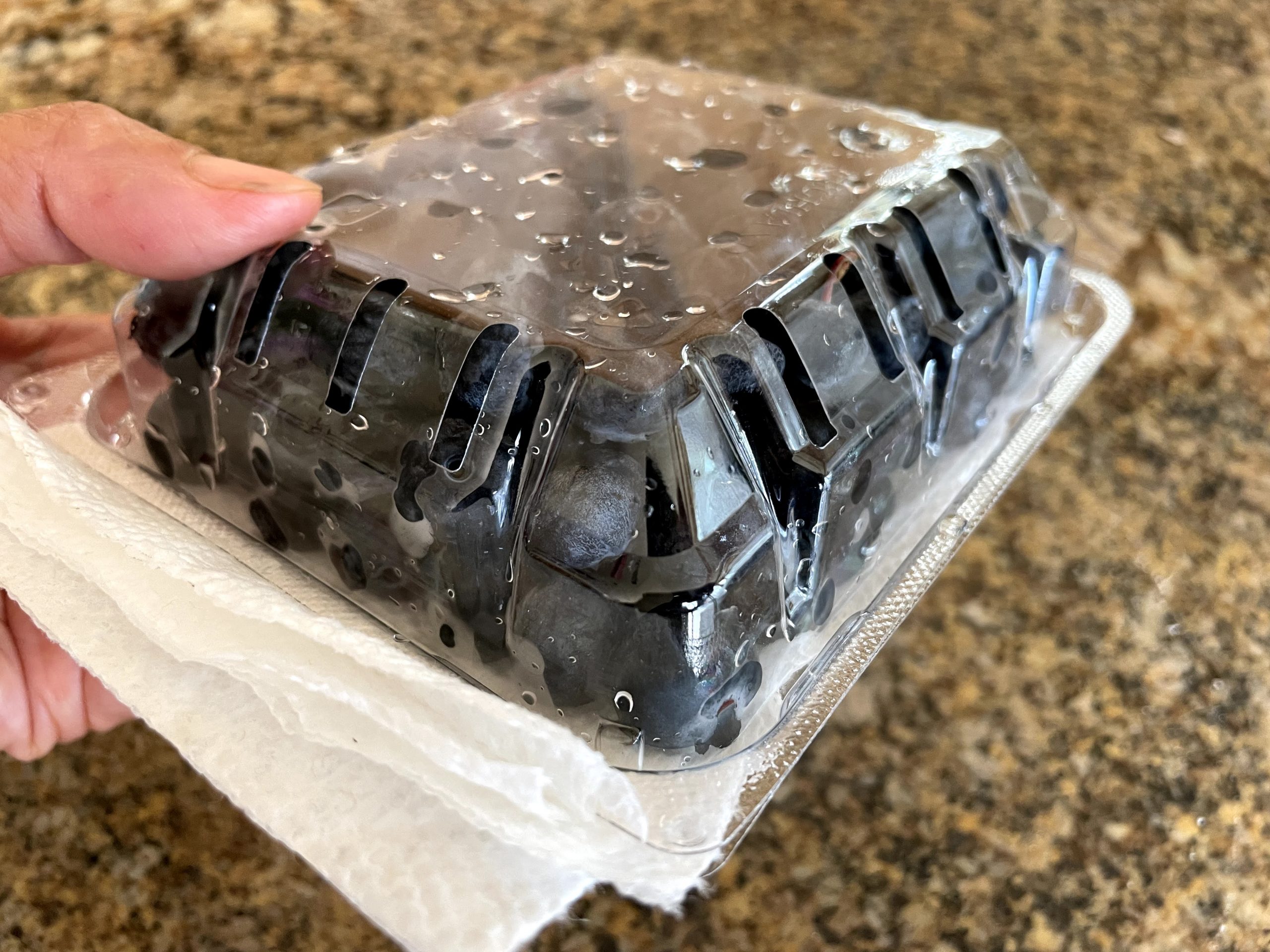storing washed blueberries