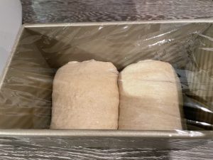 Proofing coconut milk bread