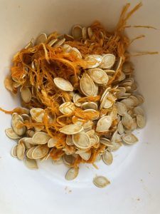 Remove seeds from pumpkin.