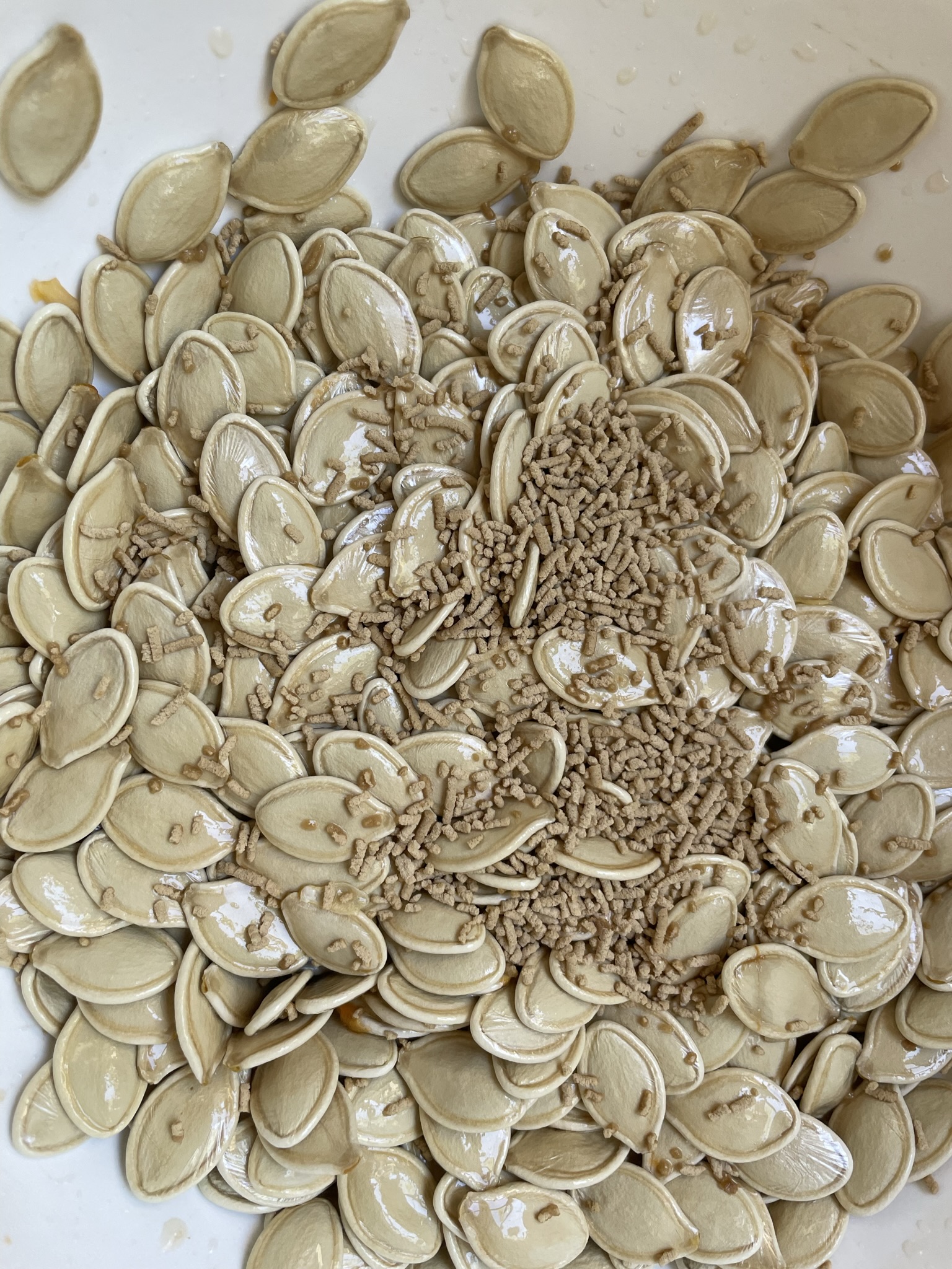Marinate pumpkin seeds with mushroom bouillon.