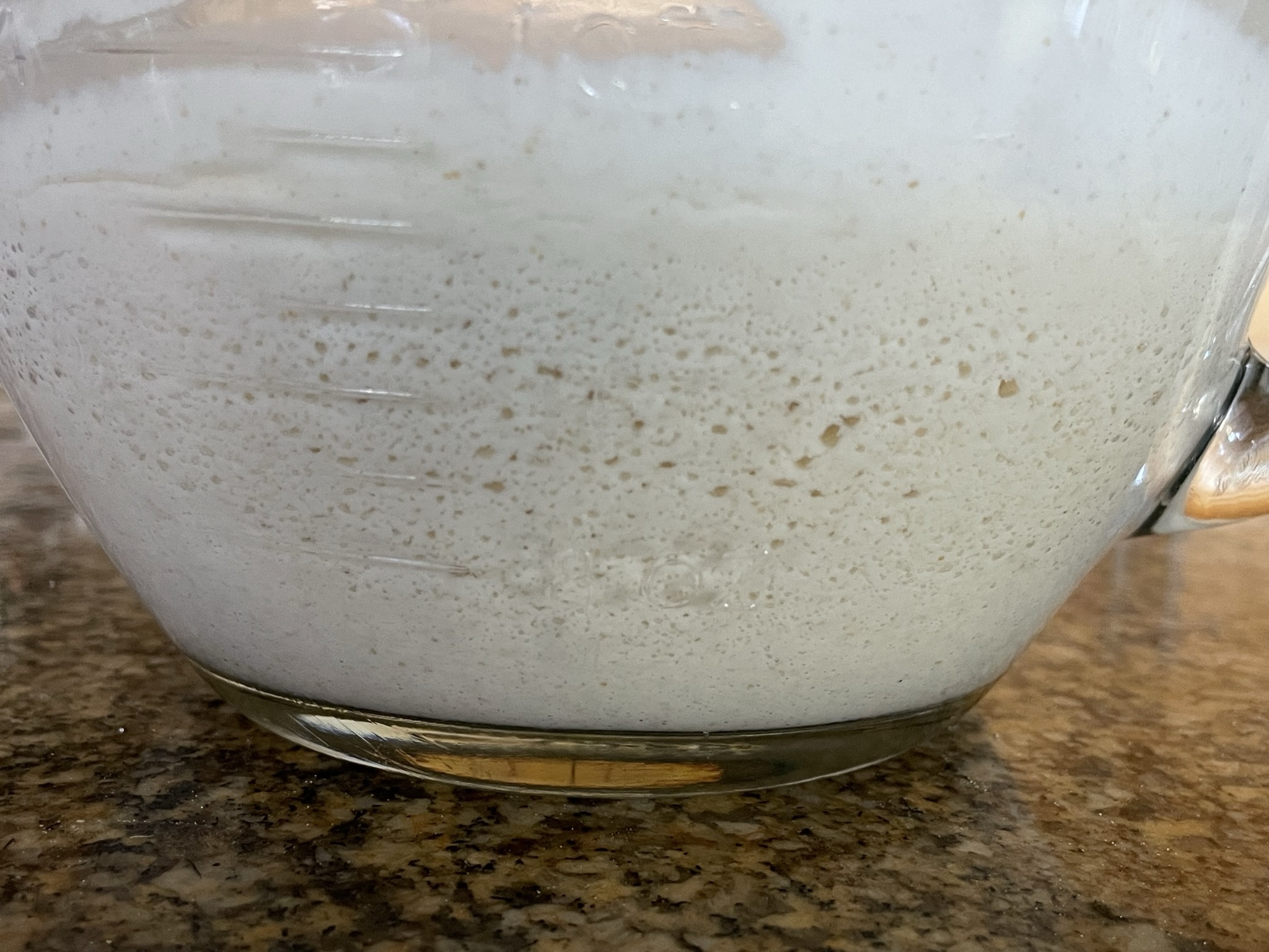 Pancake batter after fermentation