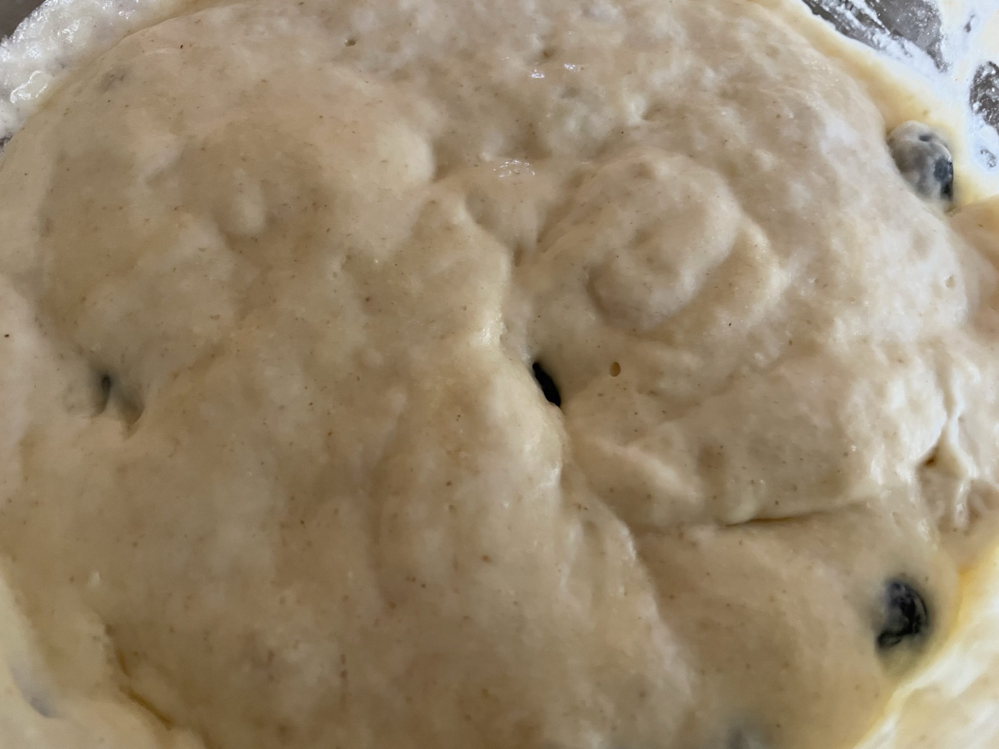 Blueberry pancake batter.