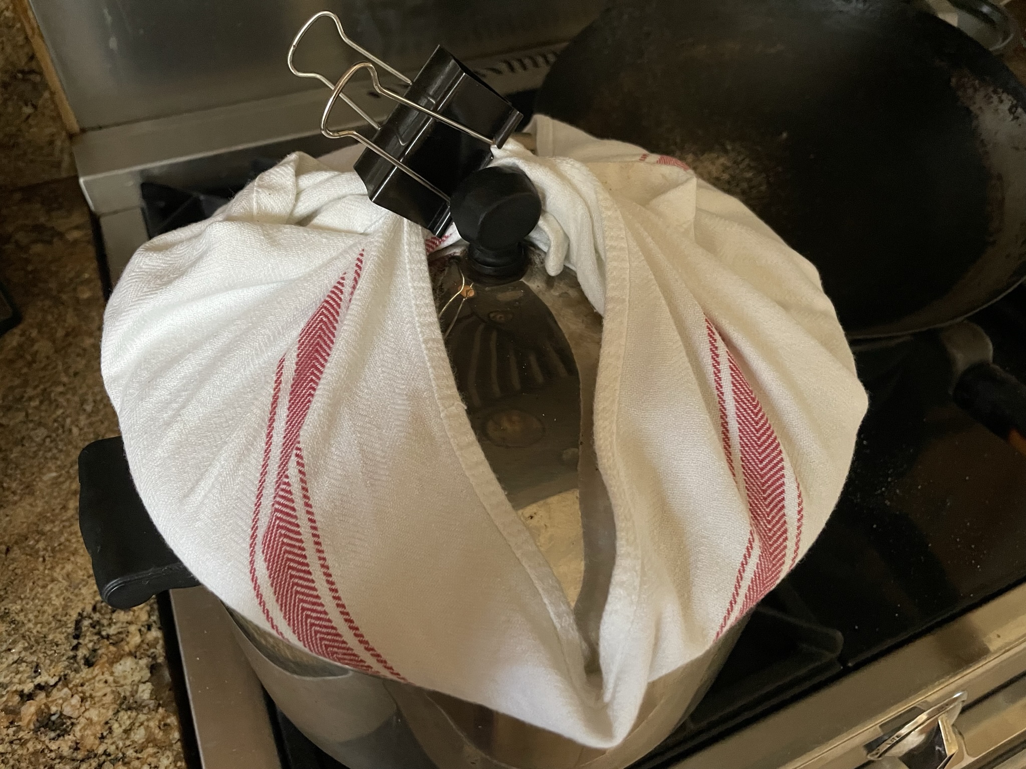 Steamer with dish towel