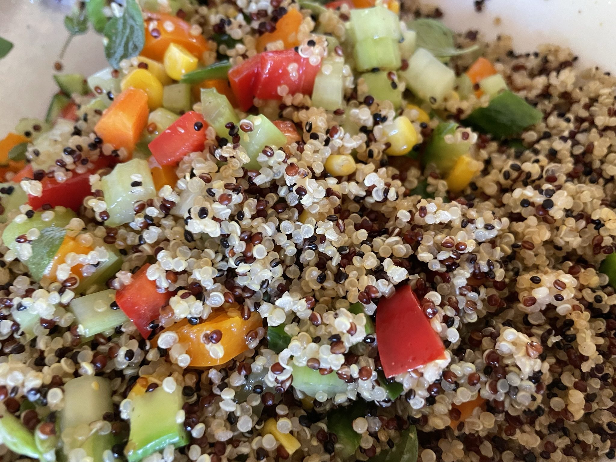 Tr-color quinoa with vegetables