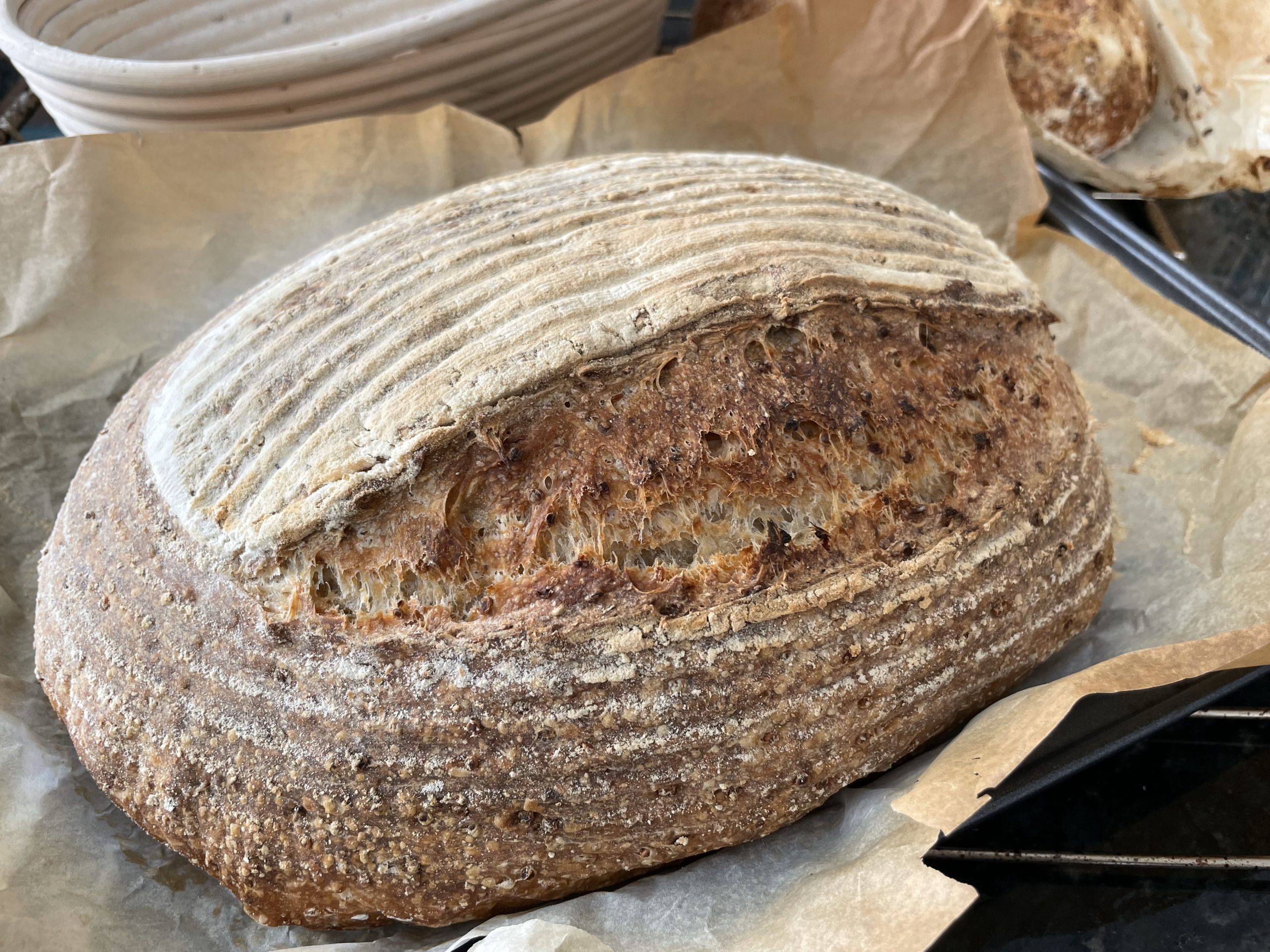 High protein quinoa sourdough bread