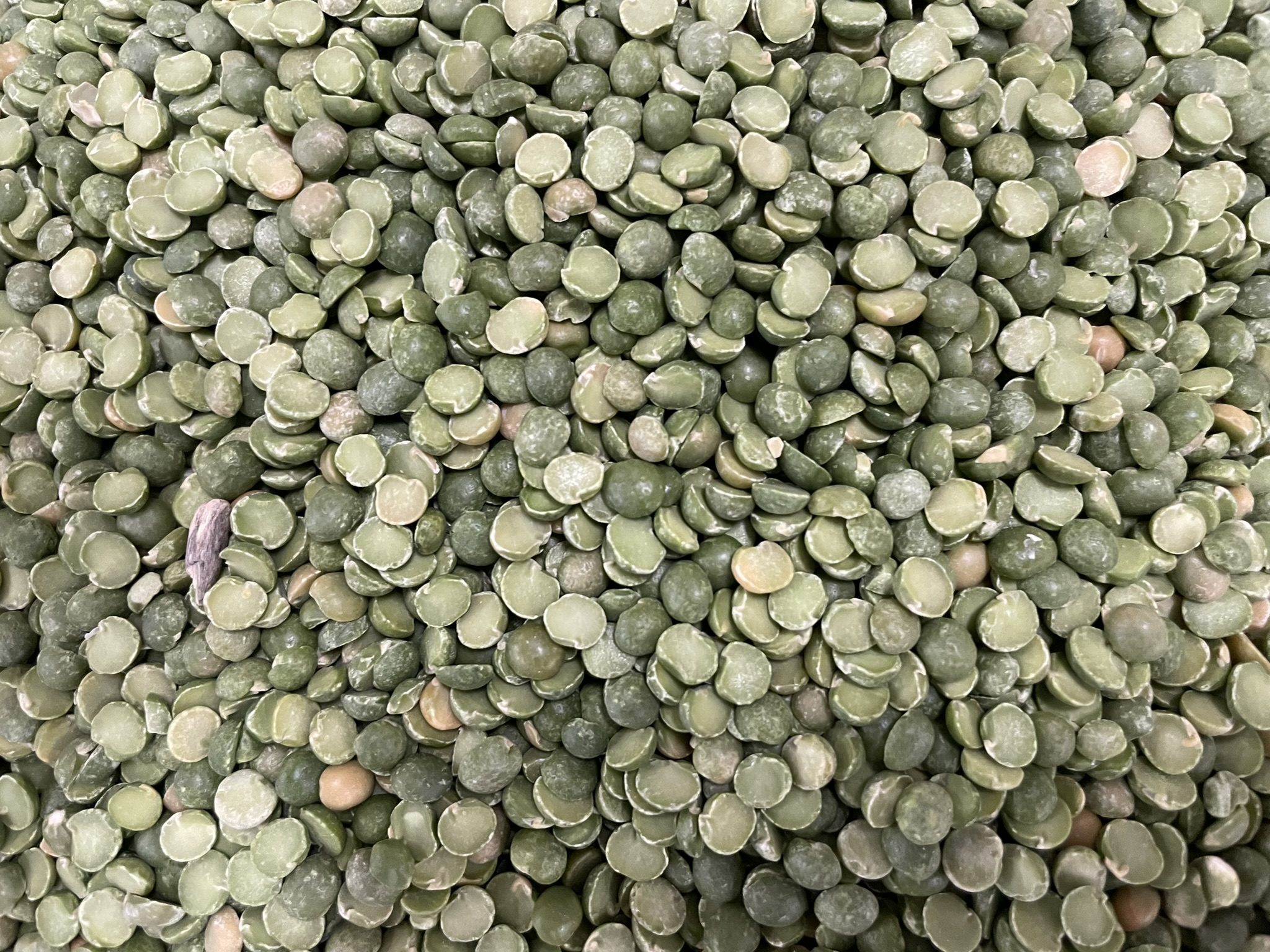 Dried split peas
