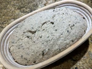 Sprouted lentil dough in banneton