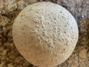 Stoneground chia and flax sourdough.